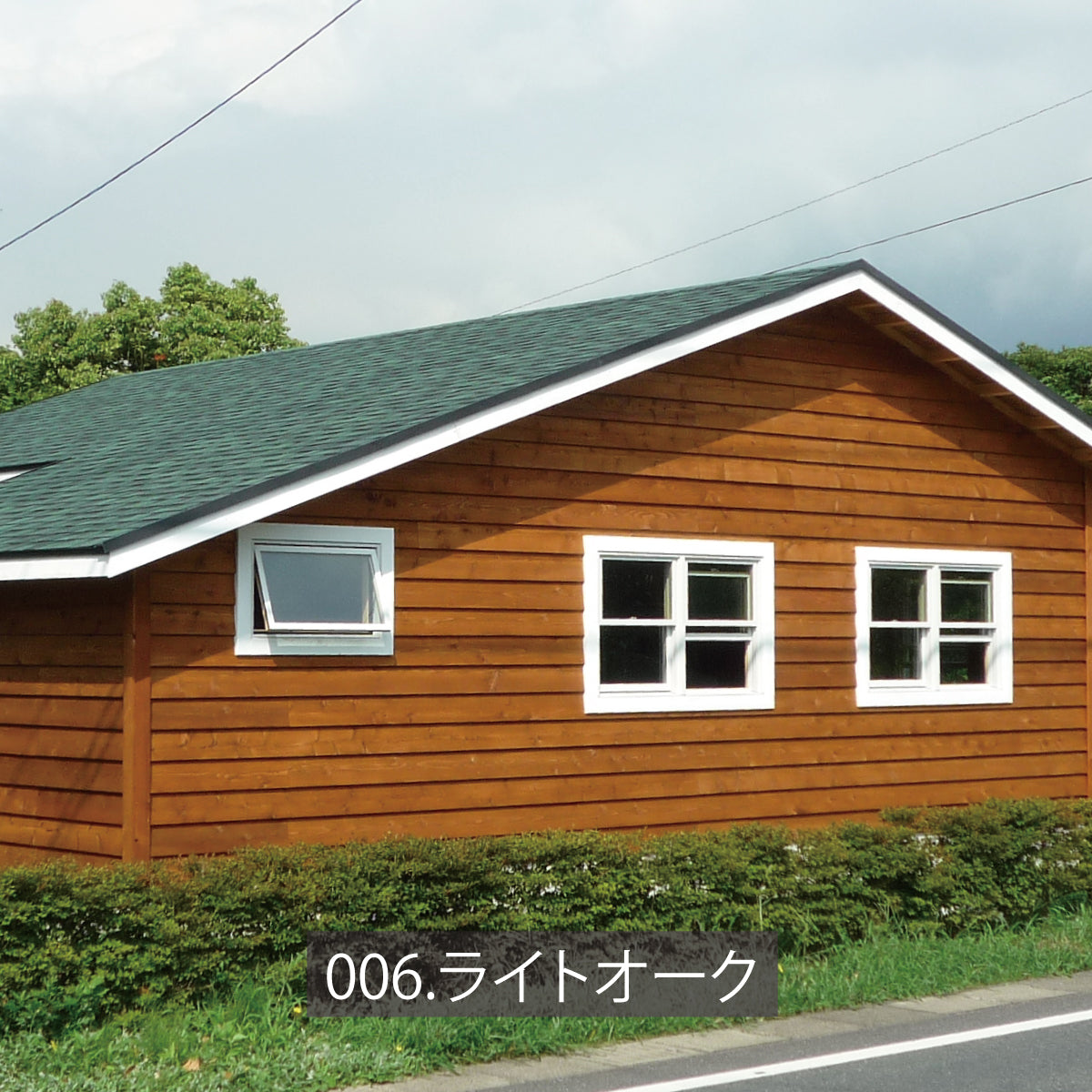 シッケンズ セトール HLSe