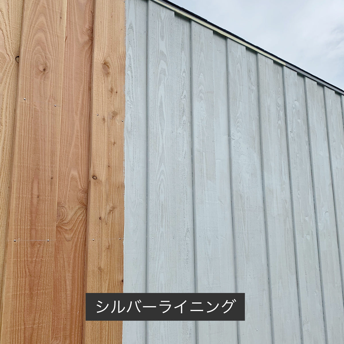 オリンピック マキシマム　ソリッド(塗りつぶしタイプ)  その2