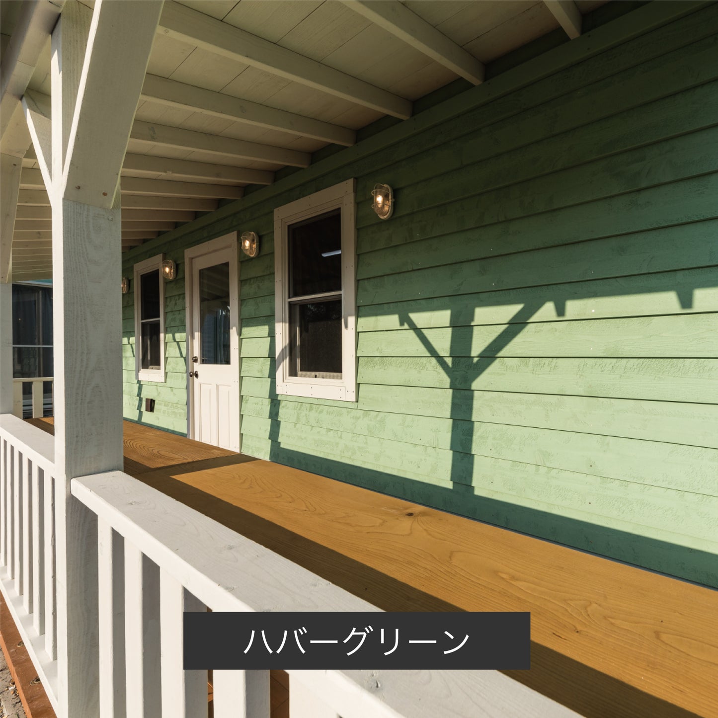 オリンピック マキシマム　ソリッド(塗りつぶしタイプ)  その2